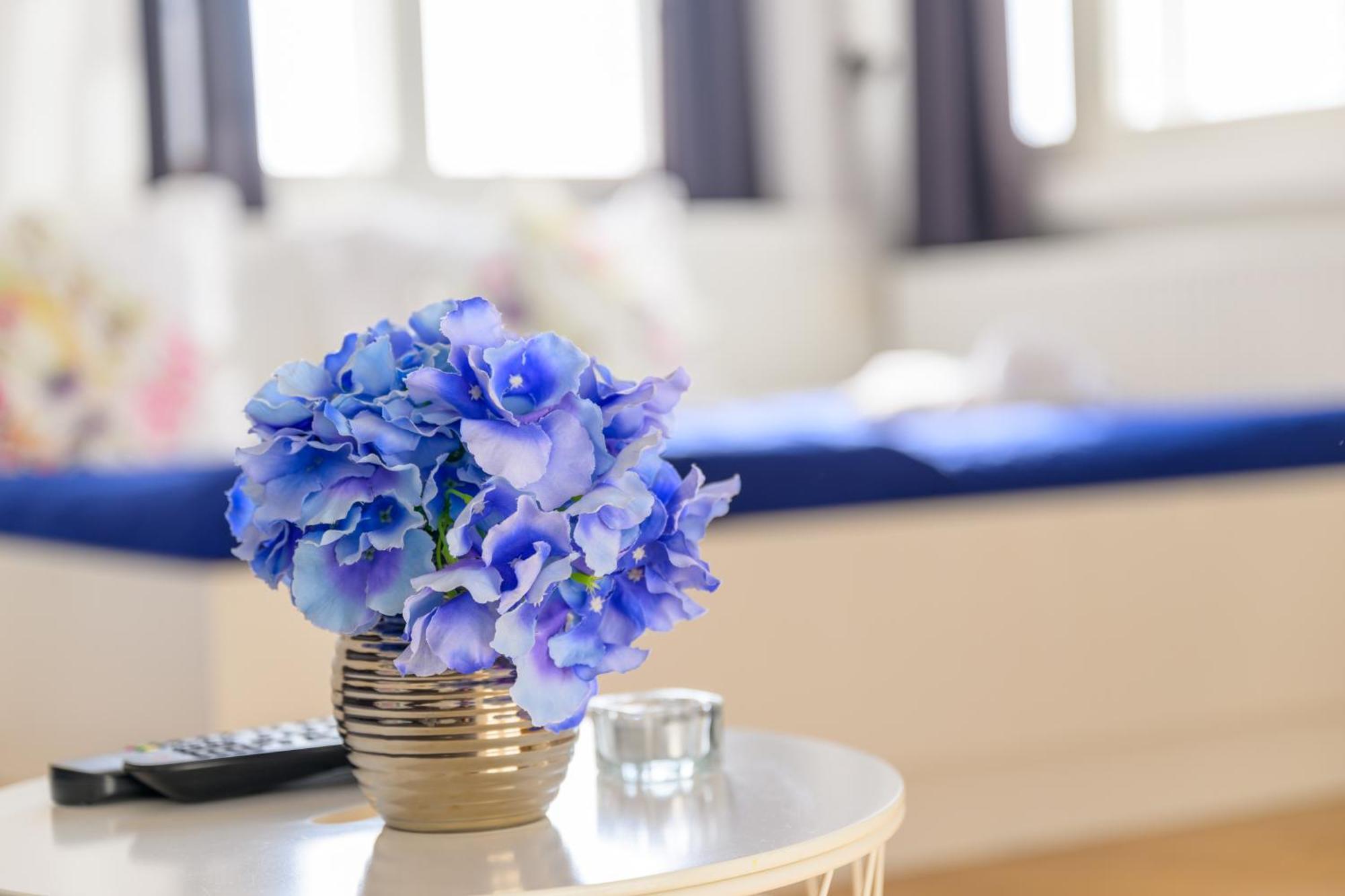 Niva Rooms & Studio Apartment Zagreb Eksteriør bilde
